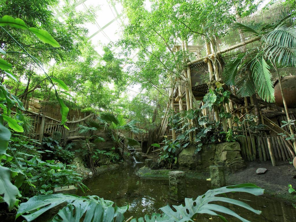Center Parcs Heijderbos Limburg-Weeze Heijen Quarto foto